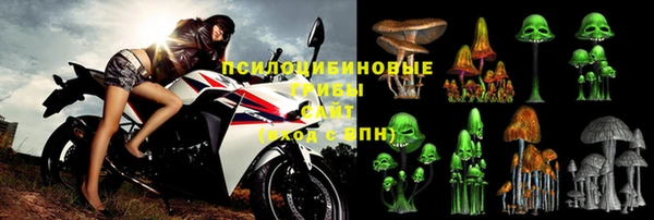 молекула духа Армянск