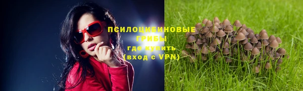 молекула духа Армянск