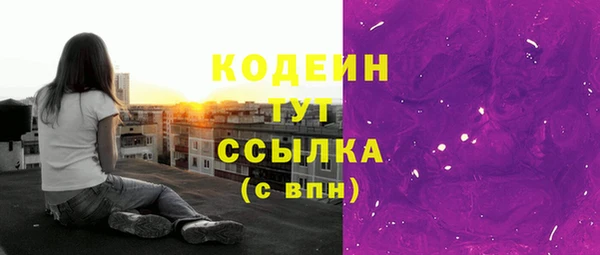 спиды Арсеньев