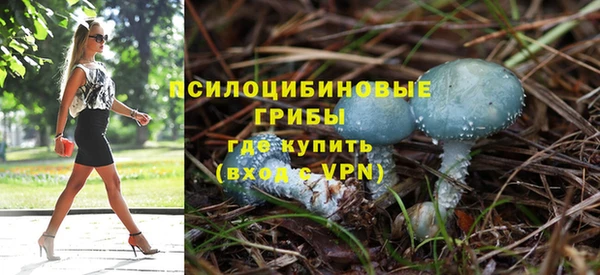 молекула духа Армянск